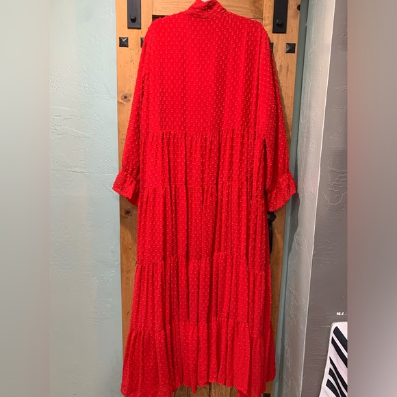 DJ Maxi Length Red Dress - Picture 5 of 6